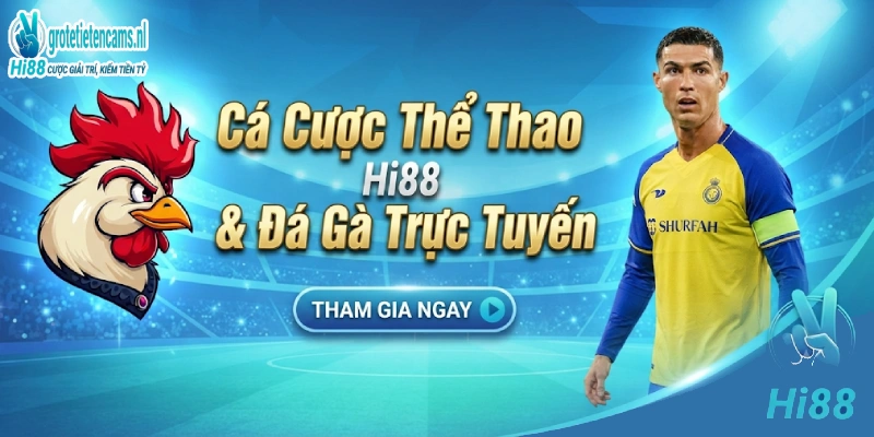 Cá Cược Thể Thao Hi88 & Đá Gà Trực Tuyến