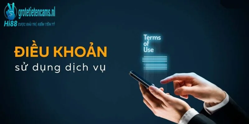 Điều khoản sử dụng